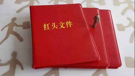 国家发改委红头文件，政策引领，推动国家发展
