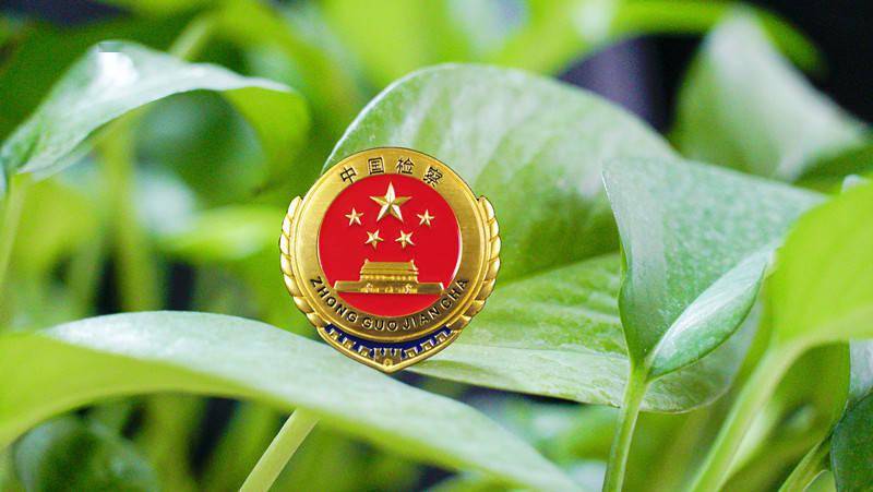 法律常识一本全电子版，普及法律知识，助力法治社会建设