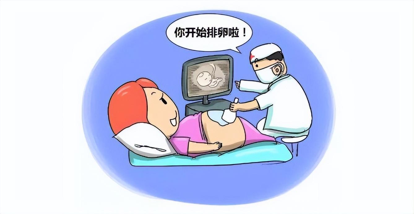 取卵后鲜胚移植，辅助生殖技术的最新进展