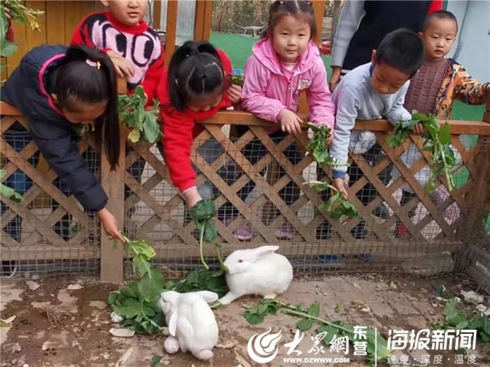 小班美术教案印画，探索色彩世界的无限魅力