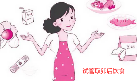 试管取卵后饮食的重要性与指导建议