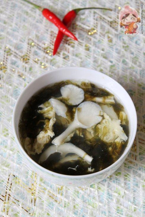 白菇紫菜蛋花汤，一道美味与健康并存的佳肴
