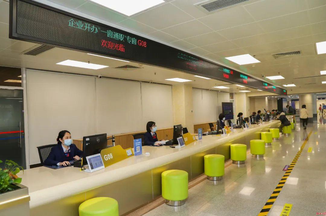 新能源产业文件，引领未来能源革命的蓝图