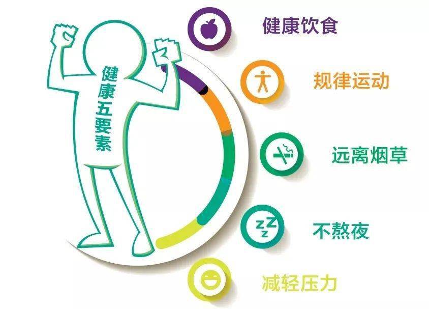 迈高健身，塑造健康生活的力量之源