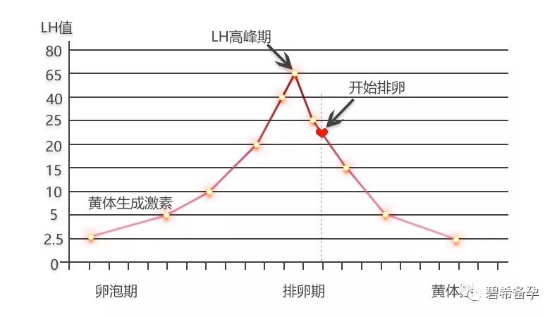 探究取卵前LH高的现象，影响、原因及应对措施