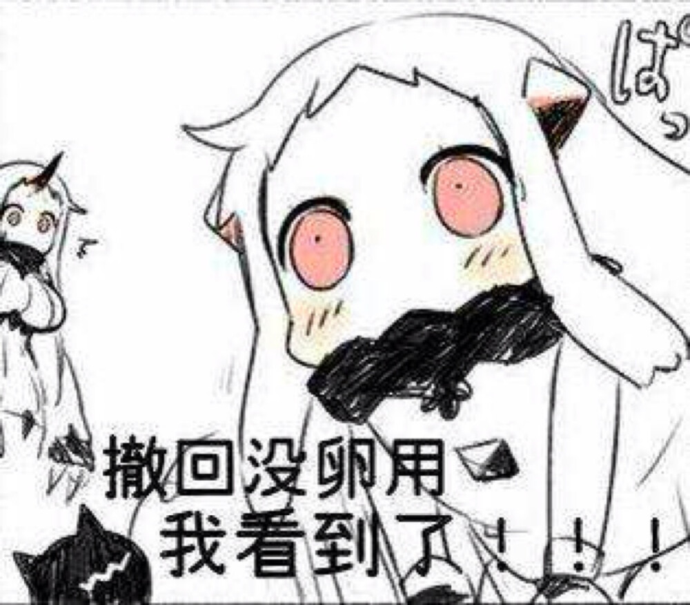 北方栖姬，表情包背后的故事与魅力