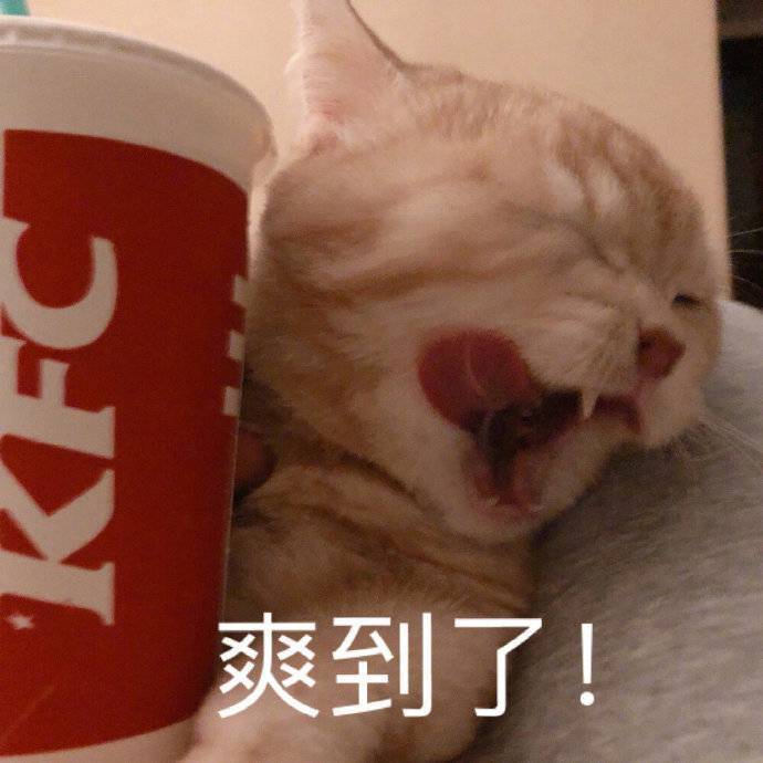 爽啊的表情包，网络时代的情感表达新风尚
