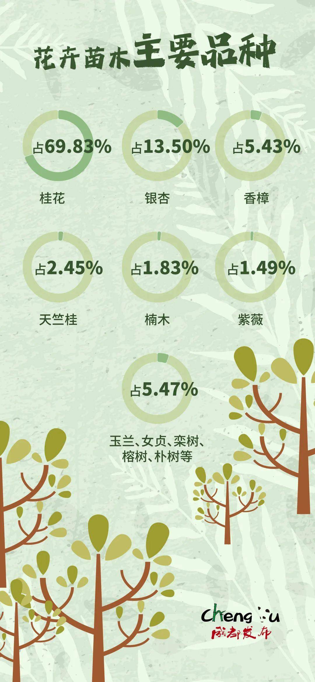苗木品种行情分析