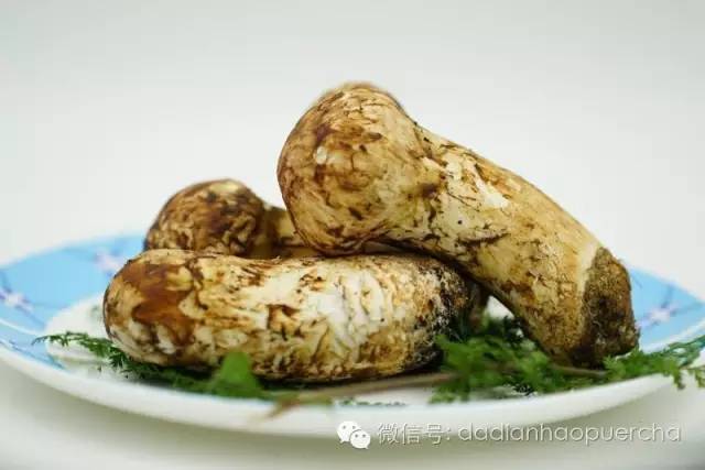 松茸蛋花，自然的馈赠与美食的交融
