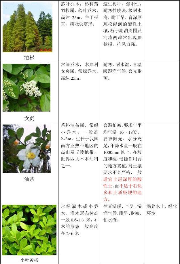 植物品种的特性，深入了解与探索
