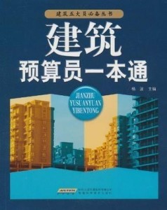 建筑预算员一本通小说，探寻职场之路的坎坷与挑战