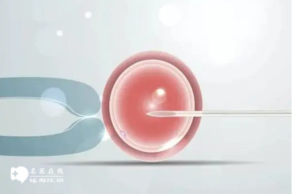 试管取卵后多久可以移植，全面解析试管移植的时间节点与关键因素