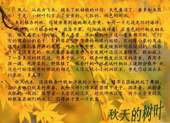 中考必备书籍一本的深度解析