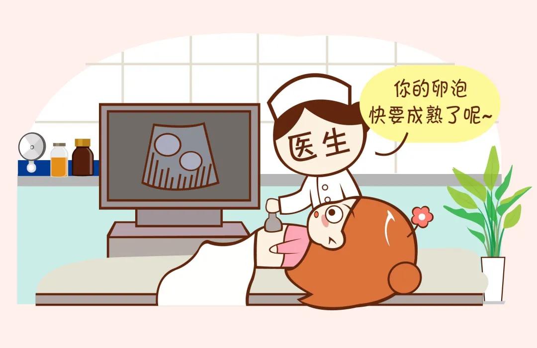 试管婴儿技术中的多取卵策略，挑战与前景