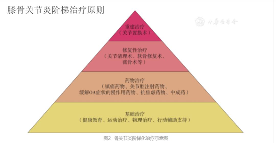 一本书读懂膝关节病，全面解析与防治策略