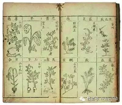 增广本草纲目一本价值，探寻中医药学的宝藏