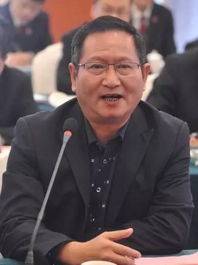 民间借贷办案一本通，从理论到实践的全方位解析