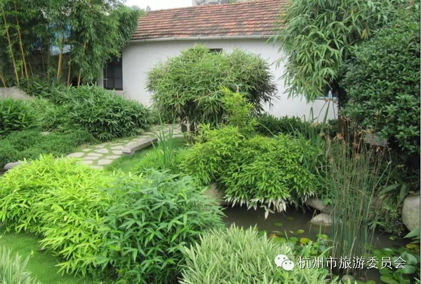 耐寒竹子的品种与特点